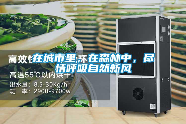 在城市里，在森林中，盡情呼吸自然新風(fēng)