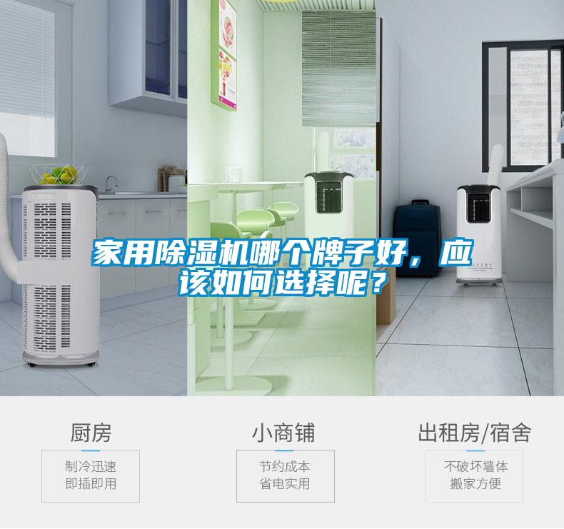 家用除濕機哪個牌子好，應(yīng)該如何選擇呢？