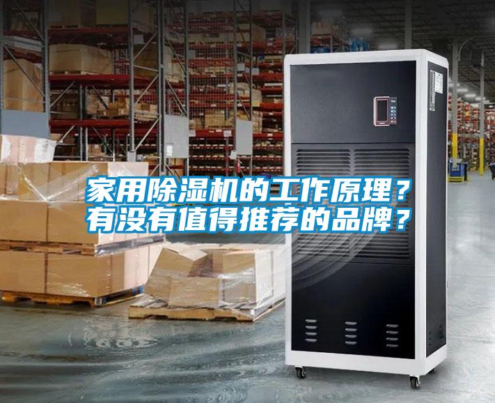 家用除濕機的工作原理？有沒有值得推薦的品牌？