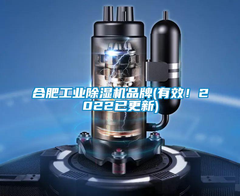 合肥工業(yè)除濕機(jī)品牌(有效！2022已更新)