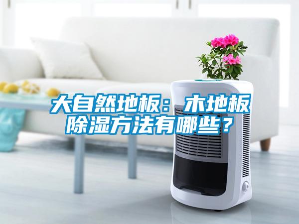 大自然地板：木地板除濕方法有哪些？