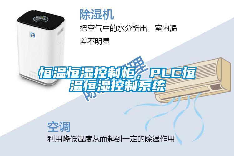 恒溫恒濕控制柜，PLC恒溫恒濕控制系統(tǒng)