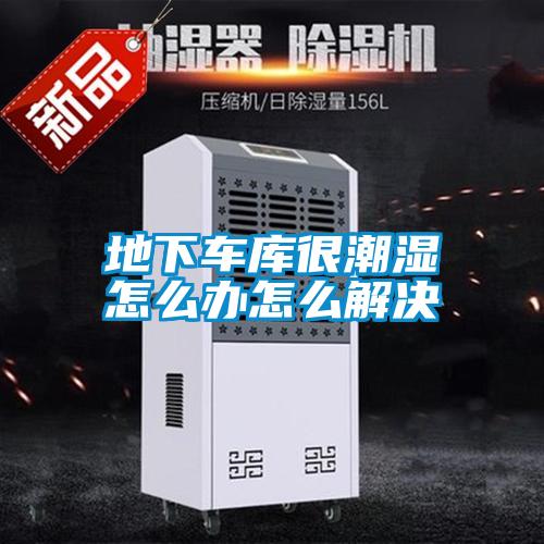 地下車(chē)庫(kù)很潮濕怎么辦怎么解決