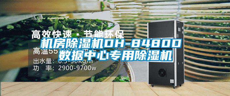 機房除濕機DH-8480D 數(shù)據(jù)中心專用除濕機