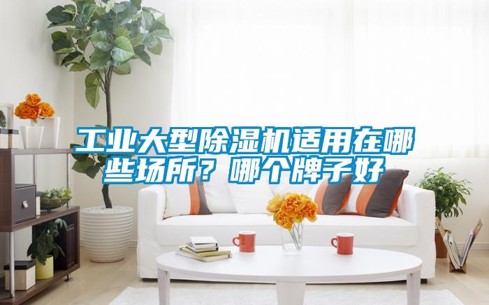 工業(yè)大型除濕機(jī)適用在哪些場(chǎng)所？哪個(gè)牌子好