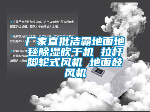廠家直批潔霸地面地毯除濕吹干機 拉桿腳輪式風(fēng)機 地面鼓風(fēng)機