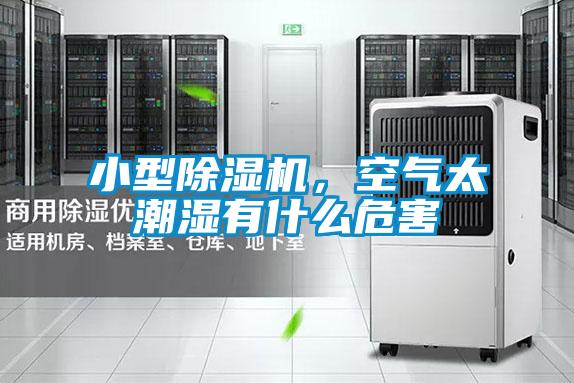 小型除濕機，空氣太潮濕有什么危害