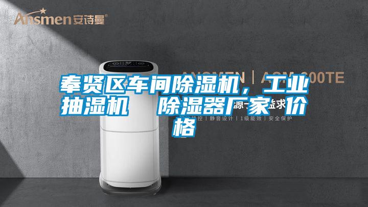 奉賢區(qū)車(chē)間除濕機(jī)，工業(yè)抽濕機(jī)  除濕器廠家 價(jià)格