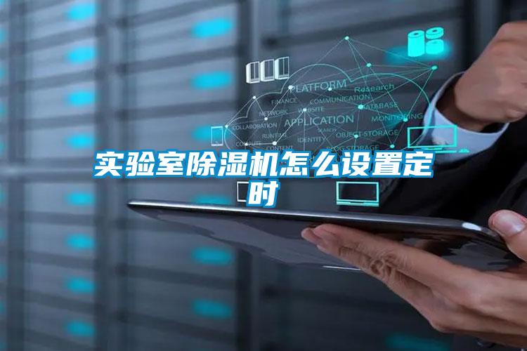 實(shí)驗(yàn)室除濕機(jī)怎么設(shè)置定時(shí)