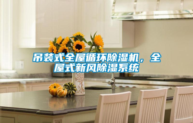 吊裝式全屋循環(huán)除濕機(jī)，全屋式新風(fēng)除濕系統(tǒng)
