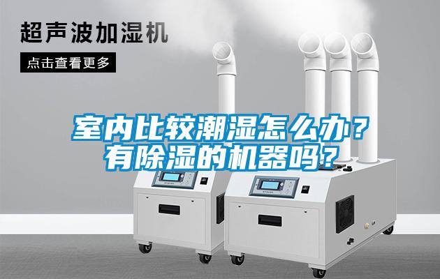 室內(nèi)比較潮濕怎么辦？有除濕的機(jī)器嗎？