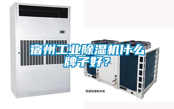 宿州工業(yè)除濕機(jī)什么牌子好？