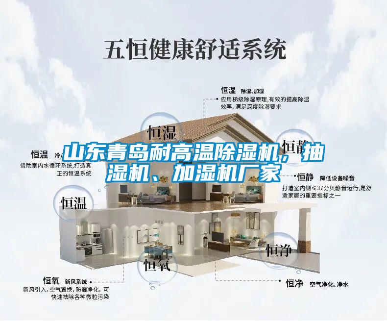山東青島耐高溫除濕機(jī)，抽濕機(jī)、加濕機(jī)廠家