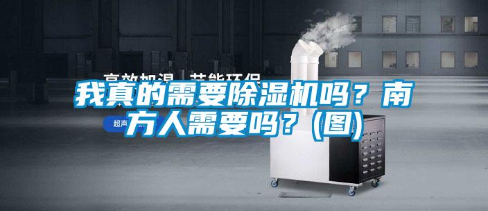 我真的需要除濕機嗎？南方人需要嗎？(圖)