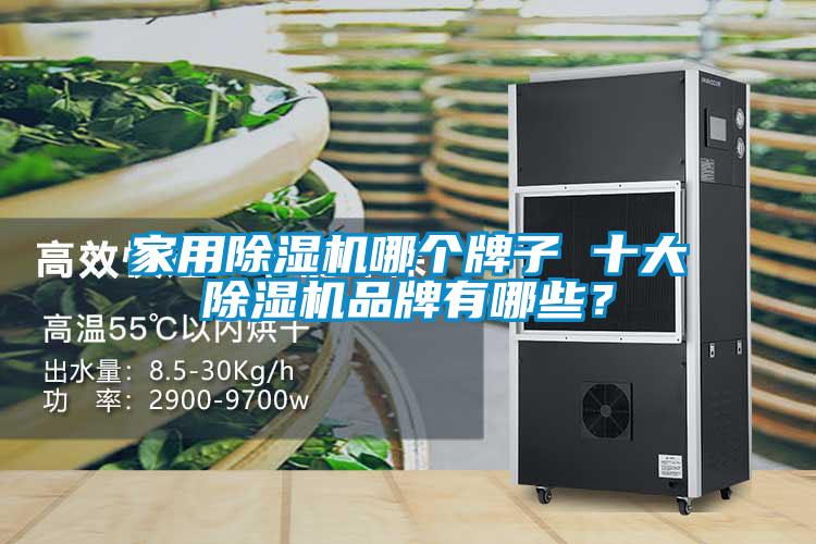 家用除濕機(jī)哪個(gè)牌子 十大除濕機(jī)品牌有哪些？