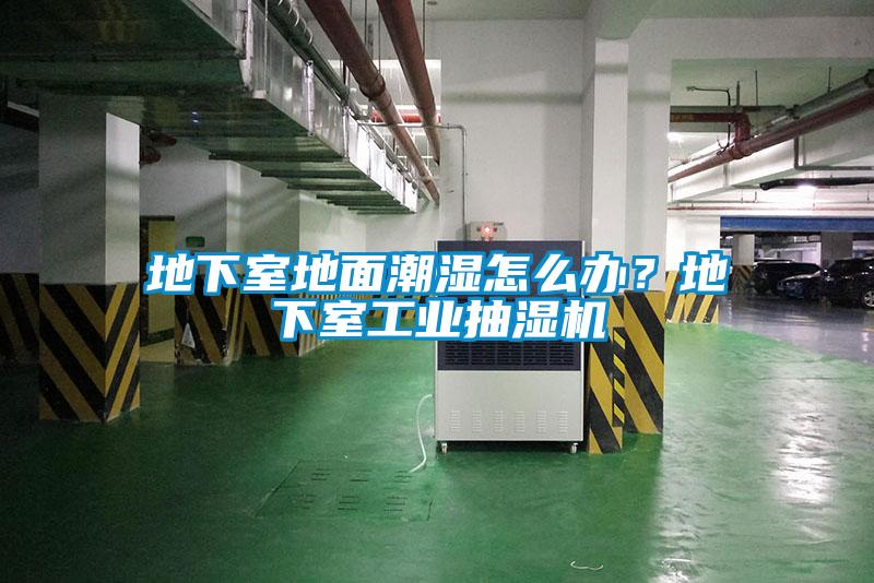 地下室地面潮濕怎么辦？地下室工業(yè)抽濕機(jī)