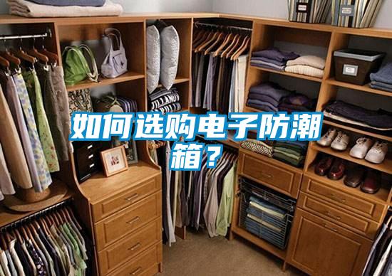如何選購電子防潮箱？