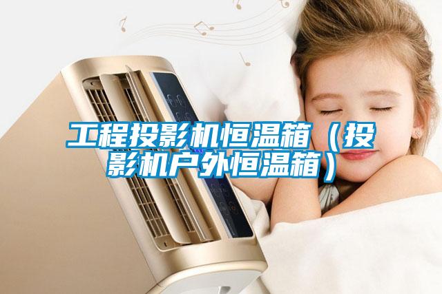 工程投影機(jī)恒溫箱（投影機(jī)戶(hù)外恒溫箱）