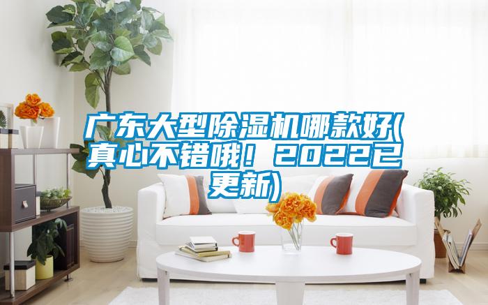 廣東大型除濕機(jī)哪款好(真心不錯(cuò)哦！2022已更新)