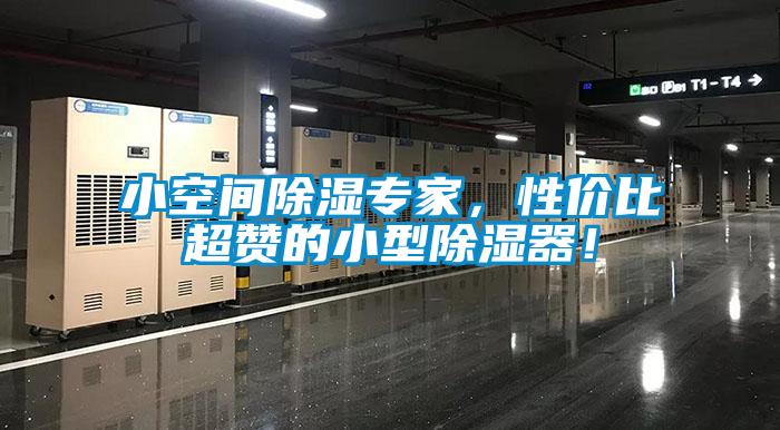 小空間除濕專家，性價比超贊的小型除濕器！