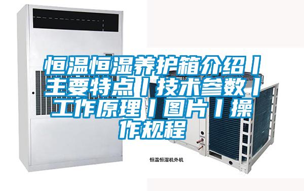 恒溫恒濕養(yǎng)護箱介紹丨主要特點丨技術參數丨工作原理丨圖片丨操作規(guī)程