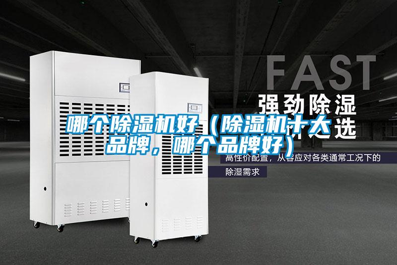 哪個(gè)除濕機(jī)好（除濕機(jī)十大品牌，哪個(gè)品牌好）