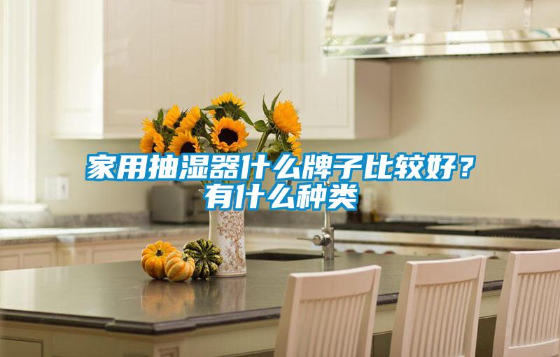 家用抽濕器什么牌子比較好？有什么種類
