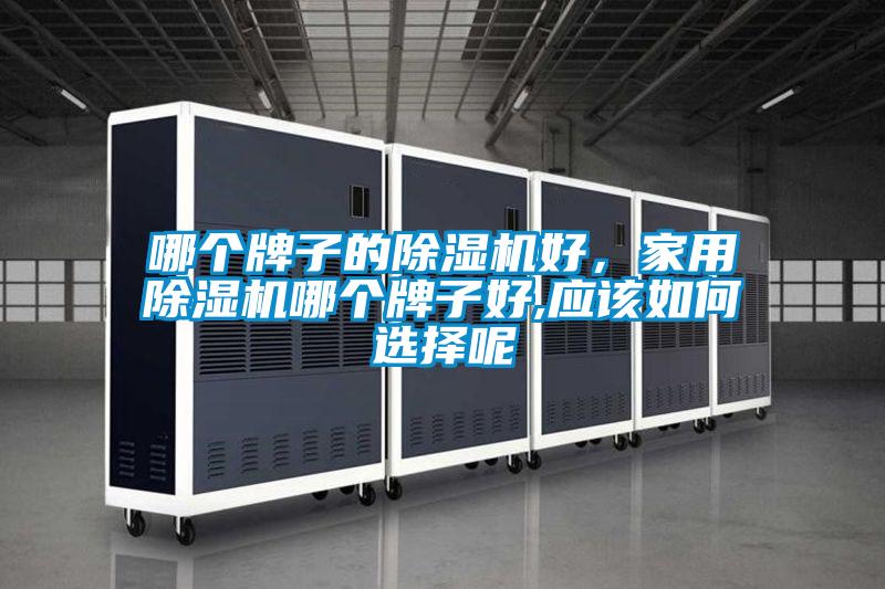 哪個(gè)牌子的除濕機(jī)好，家用除濕機(jī)哪個(gè)牌子好,應(yīng)該如何選擇呢