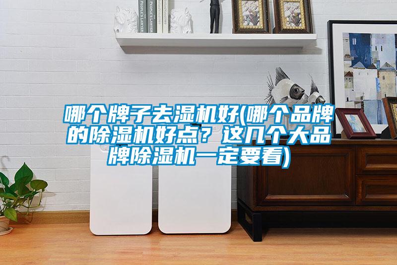哪個牌子去濕機(jī)好(哪個品牌的除濕機(jī)好點？這幾個大品牌除濕機(jī)一定要看)