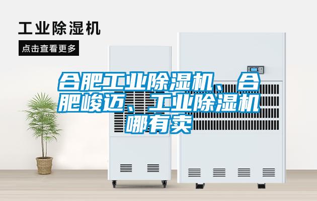 合肥工業(yè)除濕機、合肥峻邁、工業(yè)除濕機哪有賣