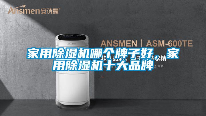 家用除濕機(jī)哪個(gè)牌子好，家用除濕機(jī)十大品牌