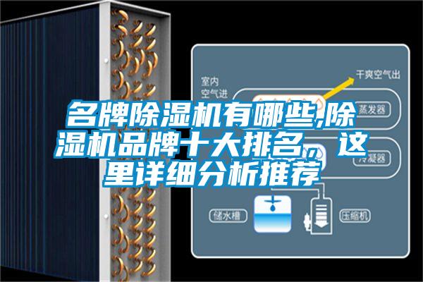 名牌除濕機(jī)有哪些,除濕機(jī)品牌十大排名，這里詳細(xì)分析推薦