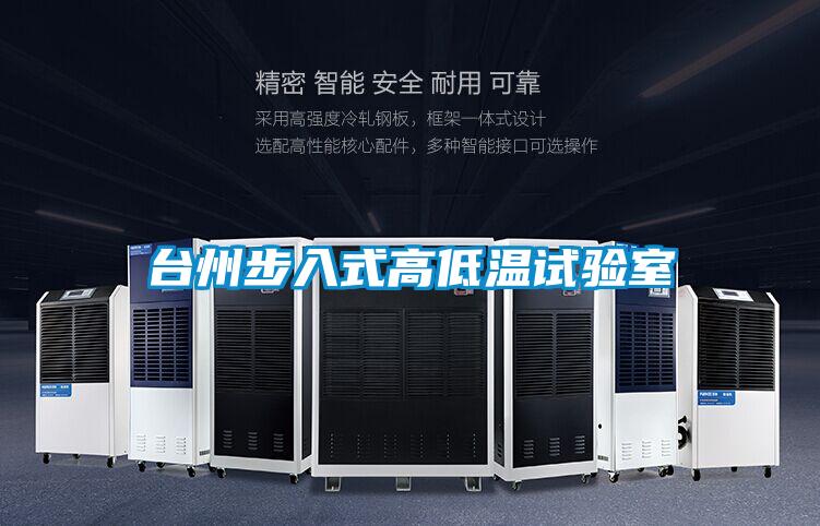 臺州步入式高低溫試驗(yàn)室