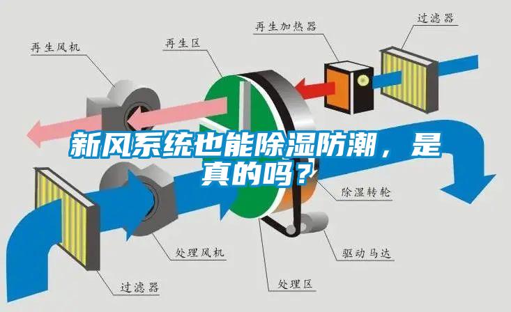 新風(fēng)系統(tǒng)也能除濕防潮，是真的嗎？