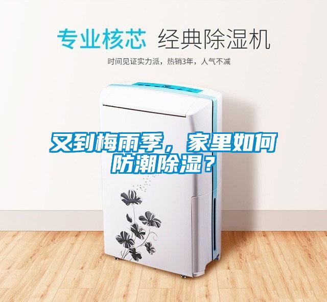 又到梅雨季，家里如何防潮除濕？
