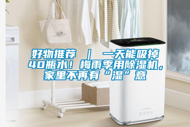 好物推薦 ｜ 一天能吸掉40瓶水！梅雨季用除濕機(jī)，家里不再有“濕”意