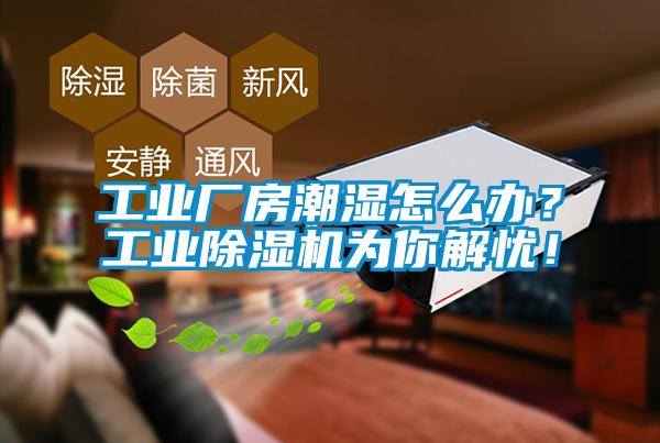工業(yè)廠房潮濕怎么辦？工業(yè)除濕機(jī)為你解憂！