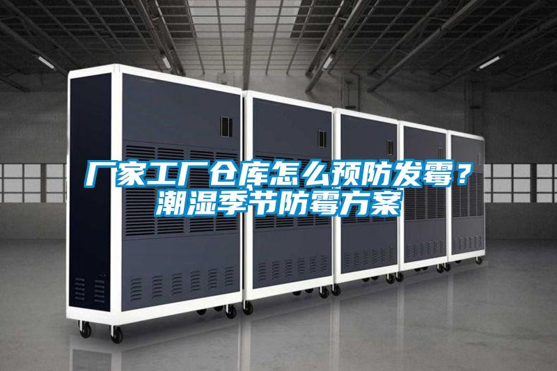 廠家工廠倉庫怎么預防發(fā)霉？潮濕季節(jié)防霉方案
