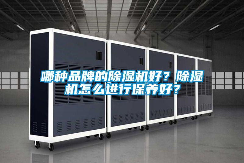 哪種品牌的除濕機(jī)好？除濕機(jī)怎么進(jìn)行保養(yǎng)好？