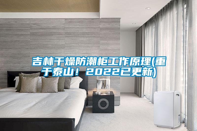 吉林干燥防潮柜工作原理(重于泰山！2022已更新)