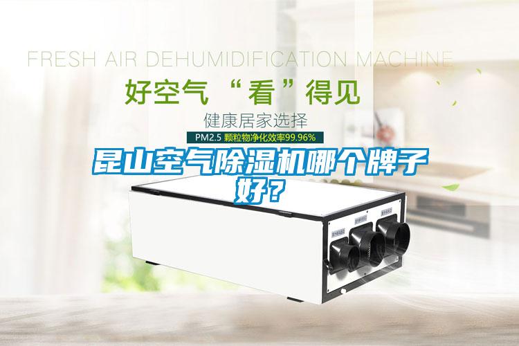 昆山空氣除濕機哪個牌子好？