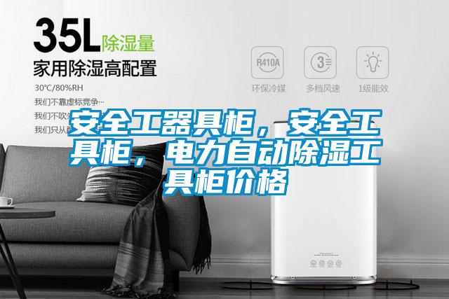 安全工器具柜，安全工具柜，電力自動除濕工具柜價格