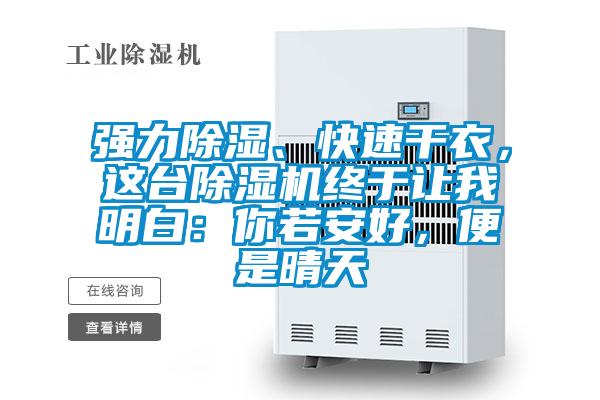 強(qiáng)力除濕、快速干衣，這臺除濕機(jī)終于讓我明白：你若安好，便是晴天