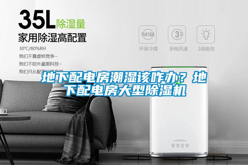 地下配電房潮濕該咋辦？地下配電房大型除濕機(jī)