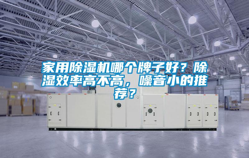 家用除濕機(jī)哪個(gè)牌子好？除濕效率高不高，噪音小的推薦？