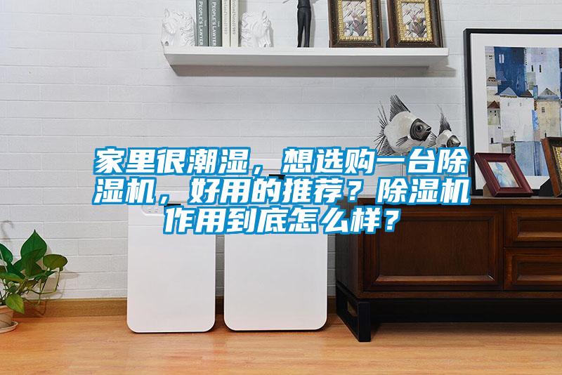 家里很潮濕，想選購(gòu)一臺(tái)除濕機(jī)，好用的推薦？除濕機(jī)作用到底怎么樣？