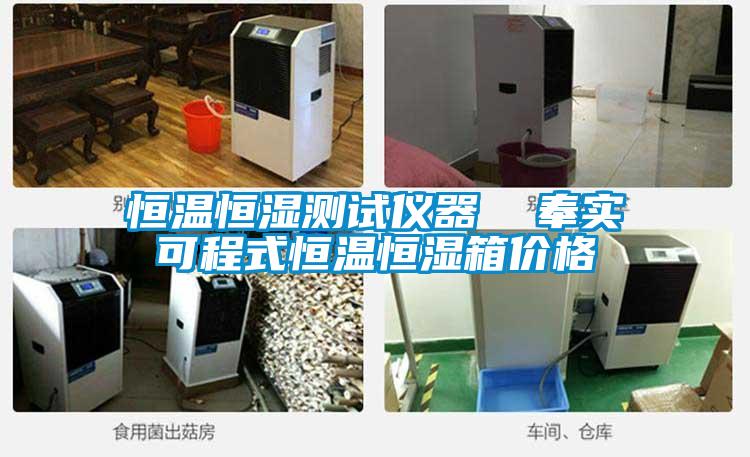 恒溫恒濕測試儀器  奉實(shí)可程式恒溫恒濕箱價格