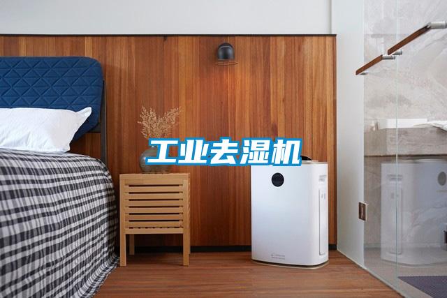 工業(yè)去濕機