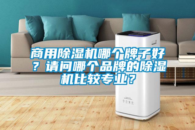 商用除濕機(jī)哪個(gè)牌子好？請問哪個(gè)品牌的除濕機(jī)比較專業(yè)？