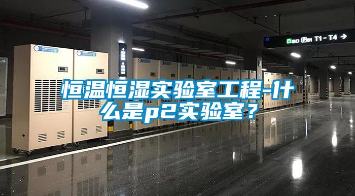 恒溫恒濕實(shí)驗(yàn)室工程-什么是p2實(shí)驗(yàn)室？
